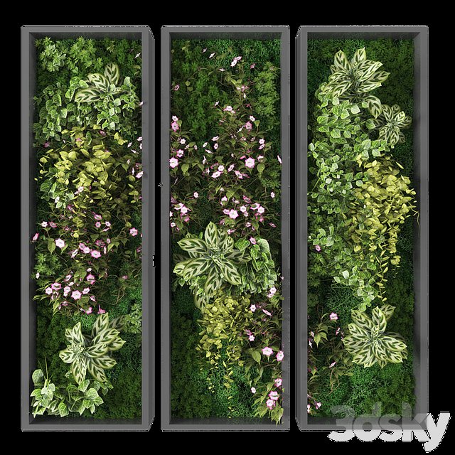 Vertical garden 254