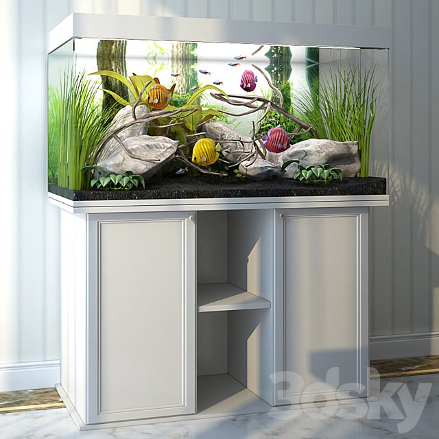 Aquarium