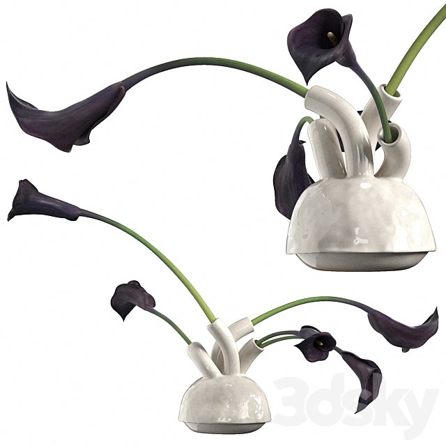 bouquet of calla lilies