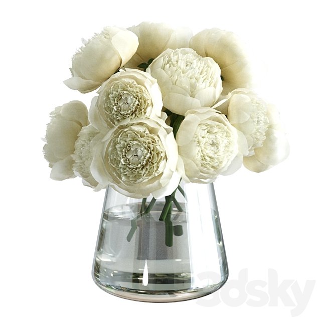 Bouquet of peonies in a vase