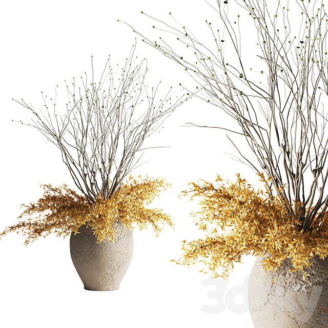 Plants bouquet