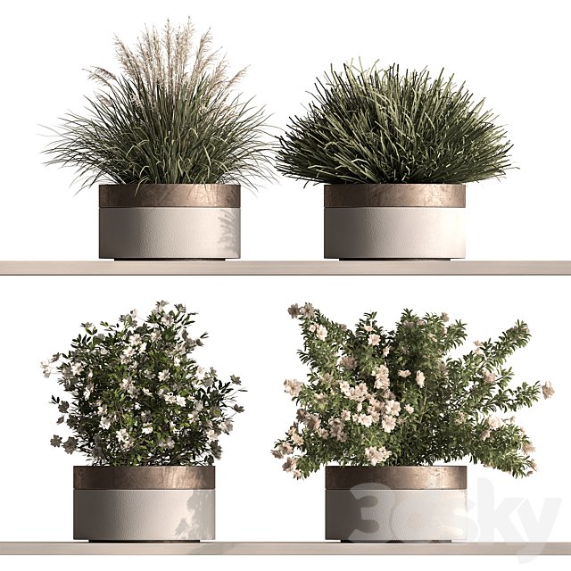 Indoor Plant 948 - Hanging Plants