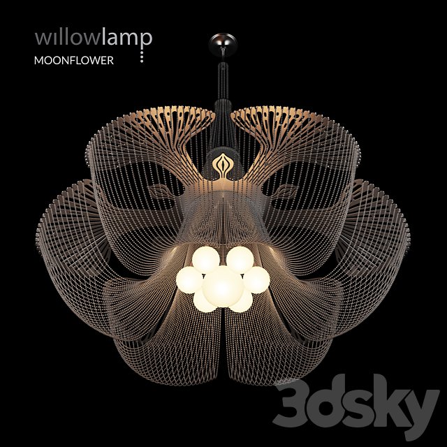 Willowlamp Moonflower
