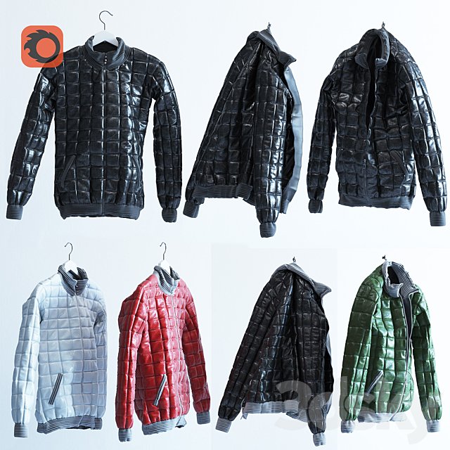 The jacket, down jacket