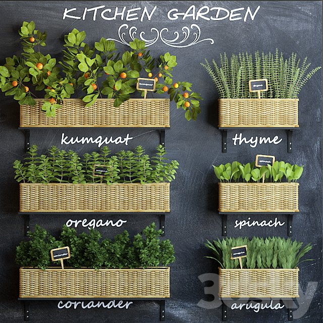 Kitchen garden 3