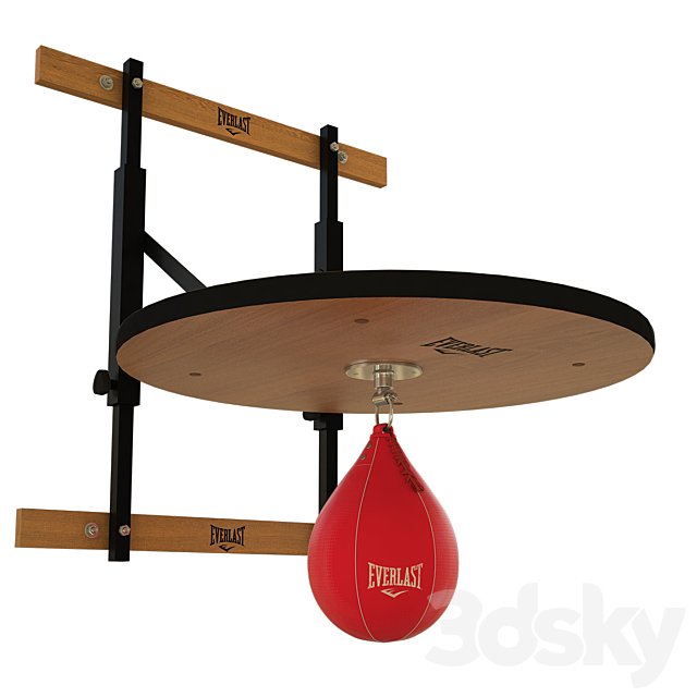 Punching bag and fasteners Everlast
