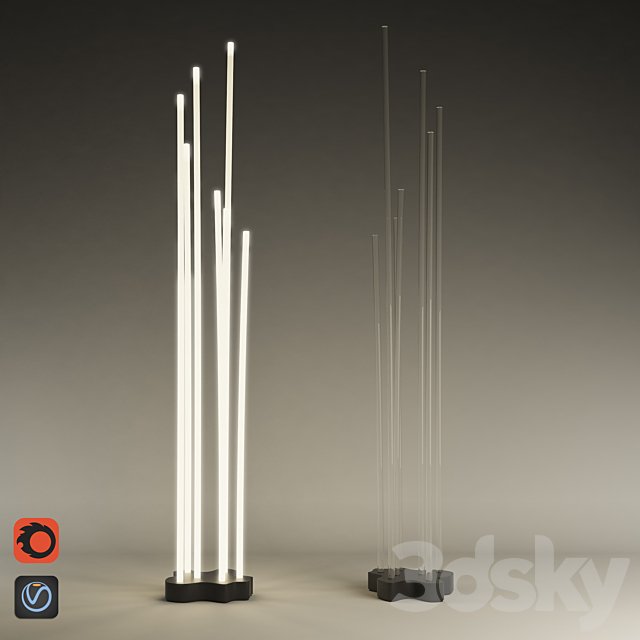 Reeds Light