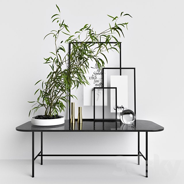 Stylish Set