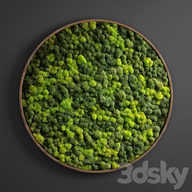 panel moss circle