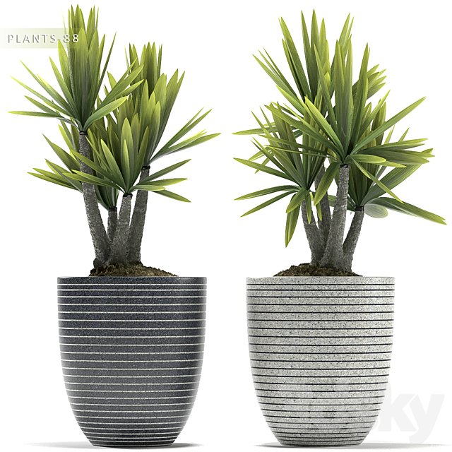 PLANTS 88