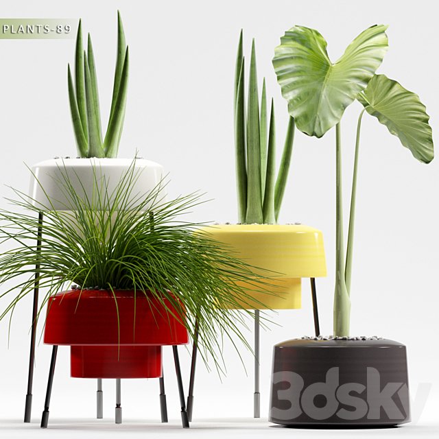 PLANTS 89