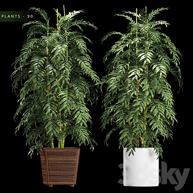 PLANTS 90