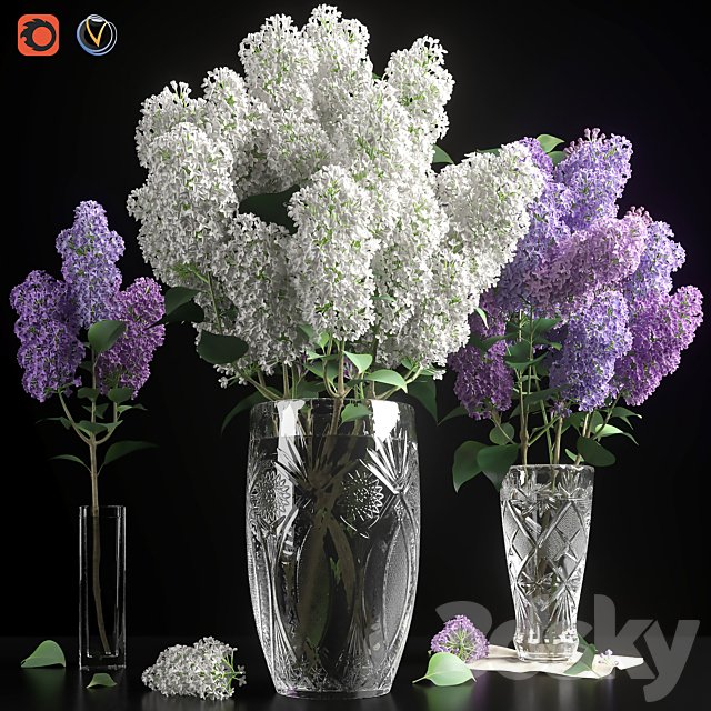 LILAC 3 in 1 / LILAC