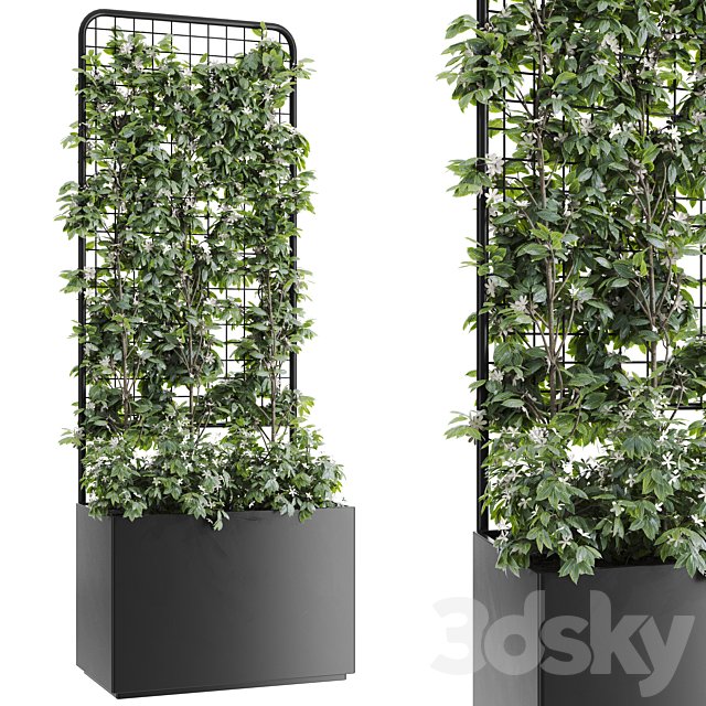 Plant 015