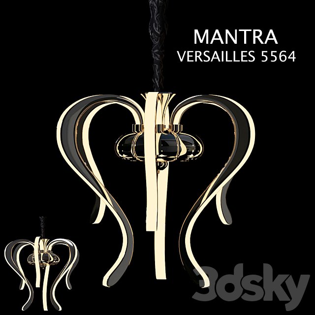 VERSAILLES 5564