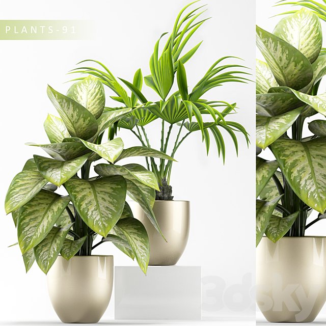 PLANTS 91