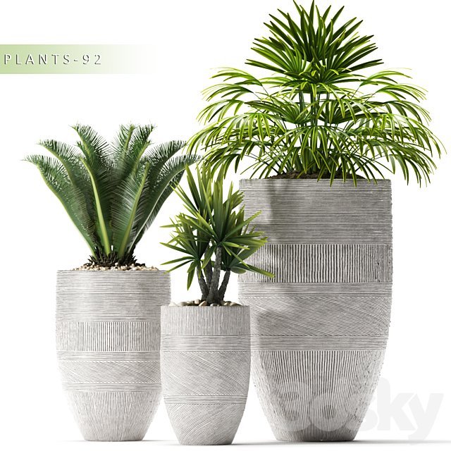 PLANTS 92