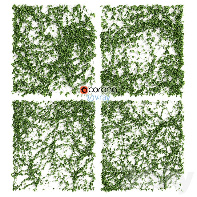 Ivy Wall 4 models