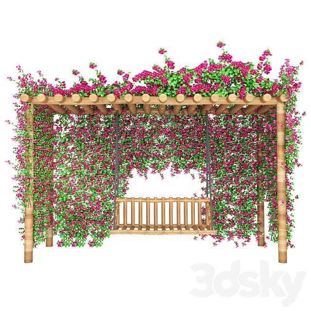 bougainvillea garden