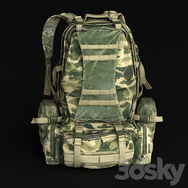 Backpack