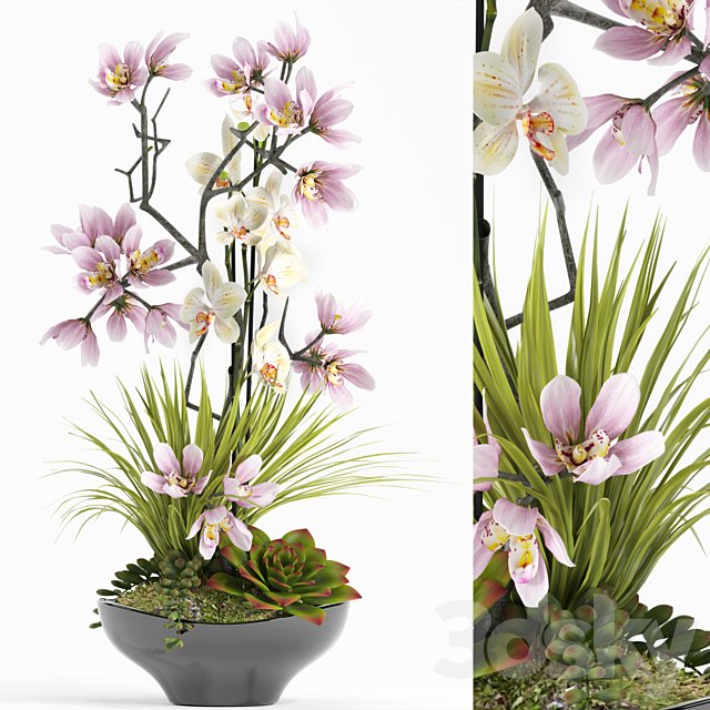 FLOWER SET 21