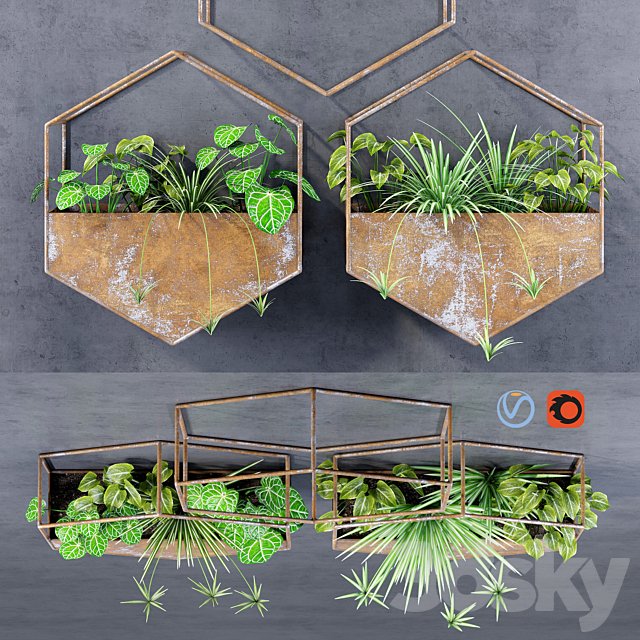Hexagon shelves