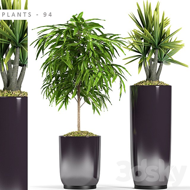 PLANTS 94