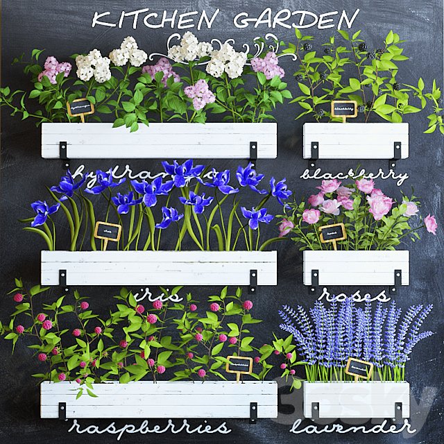 Kitchen garden 5