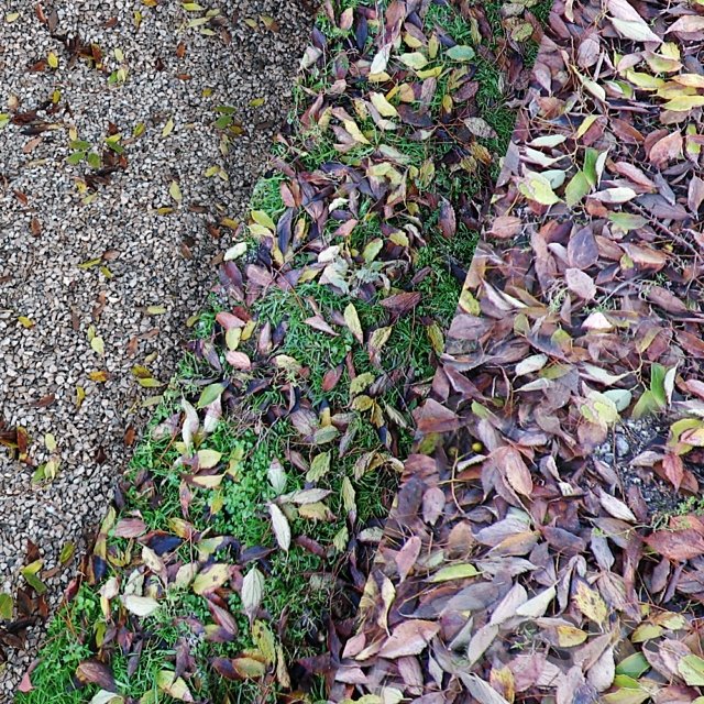 Small Ground Pack II