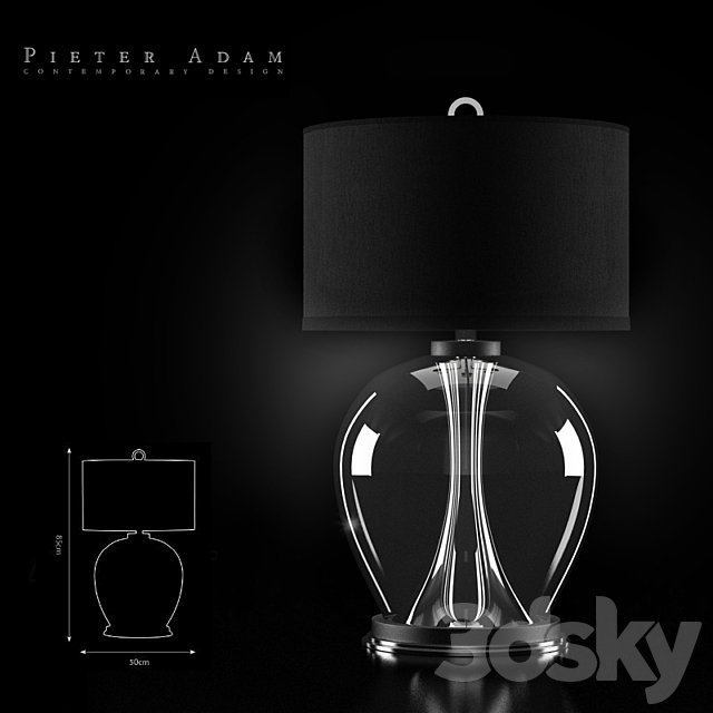 Pieter Adam ROSEDALE PA 822