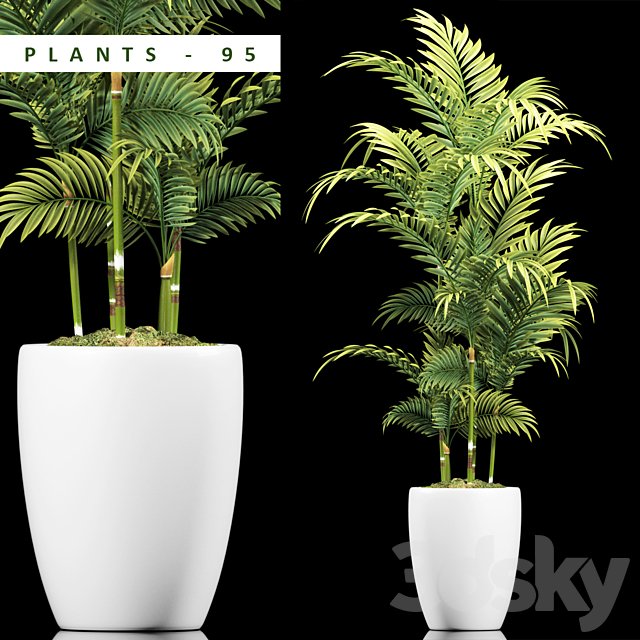 PLANTS 95