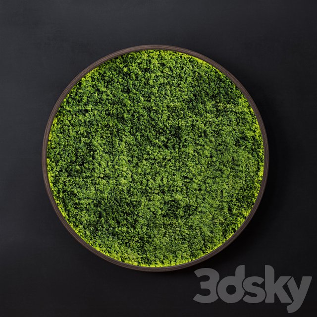 Moss wall disk