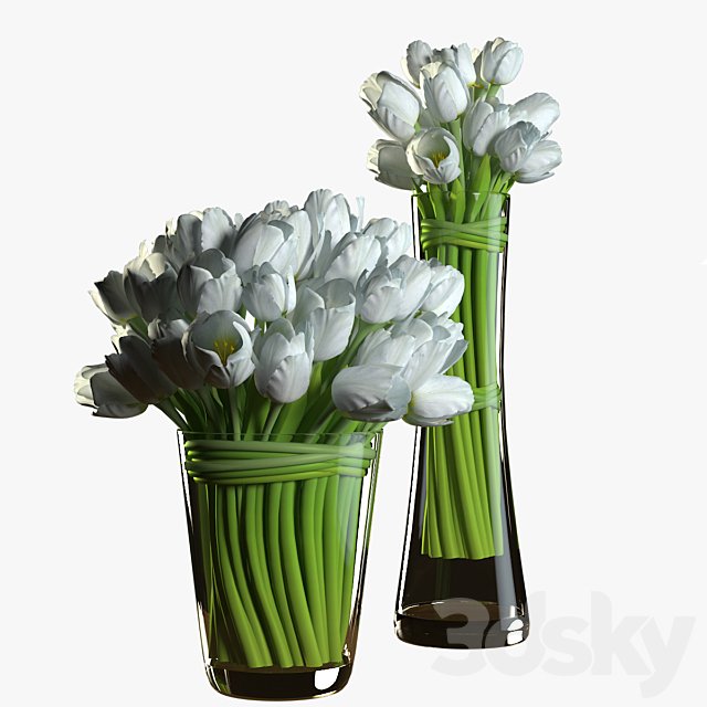 Tulips