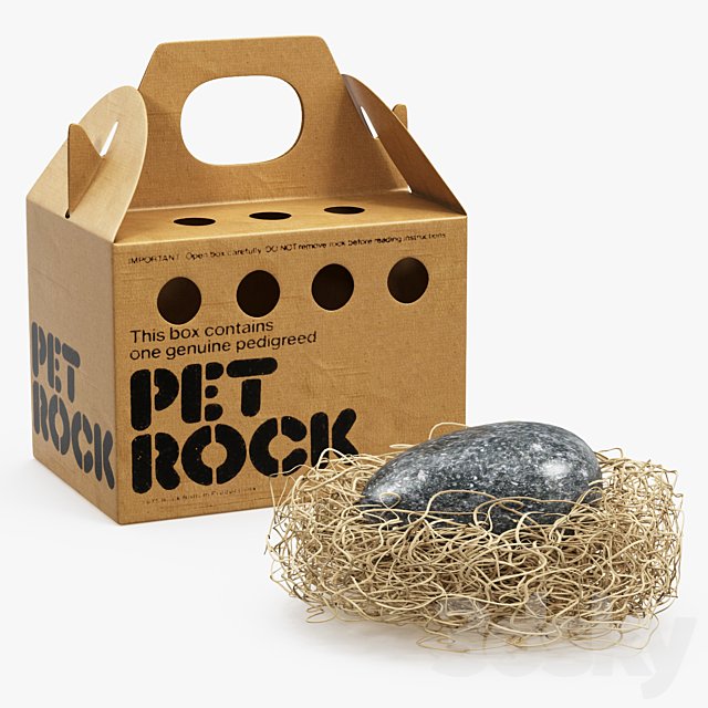Pet rock